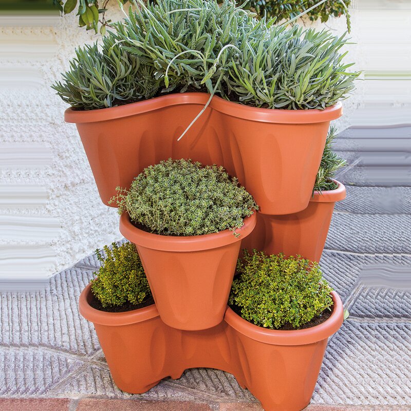 Vertical Garden